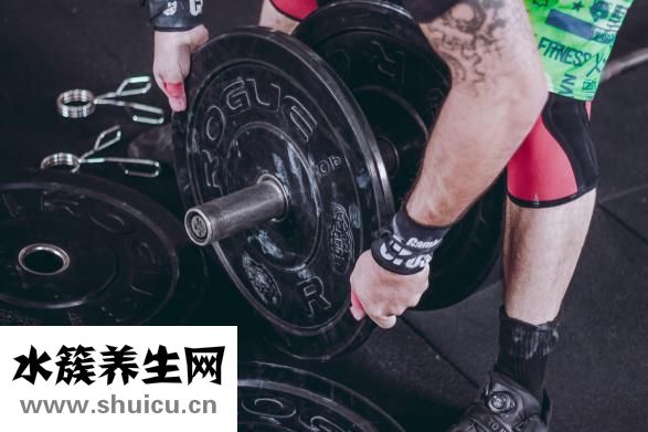 先增肌还是先减脂