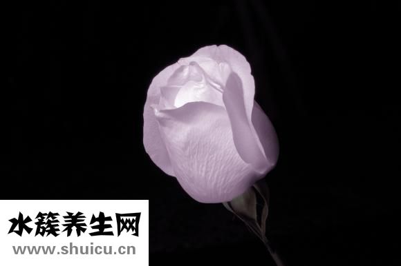 孕妇能吃冷面吗