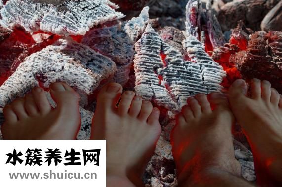 小白菜热量