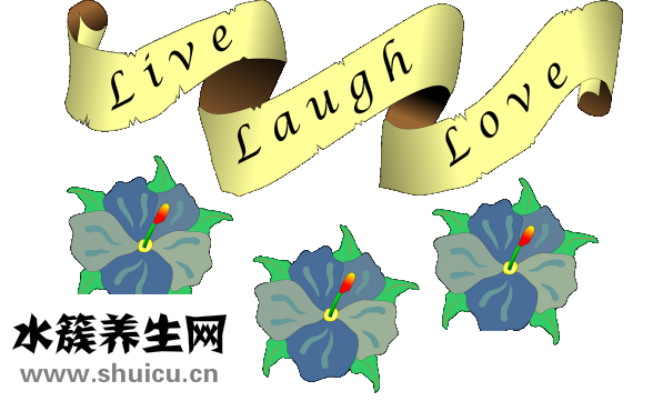 天生高血压