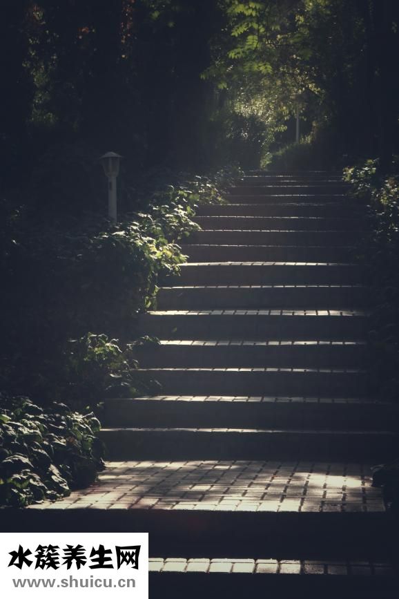 尾闾的准确位置图