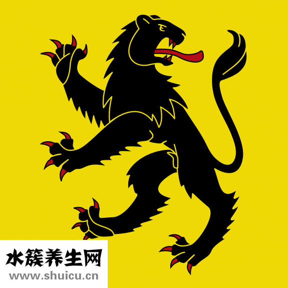 元旦节吃什么