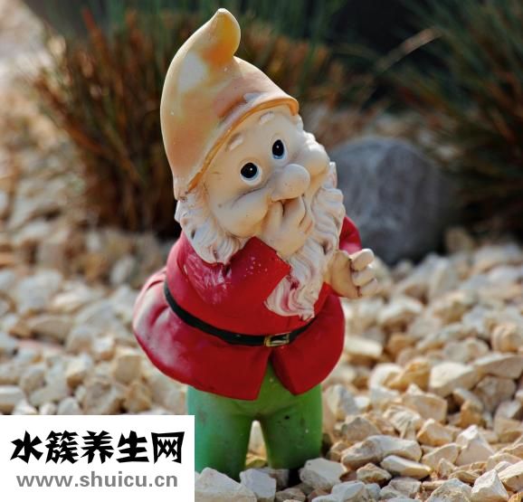 我的发小儿