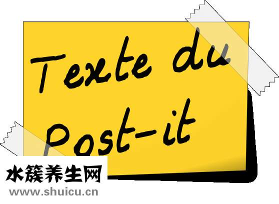 头颅核磁共振