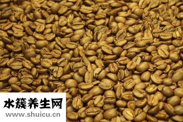 五子毛桃煲鸡