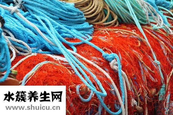 怎样食用人参