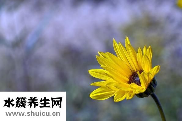 吸脂减肥手术