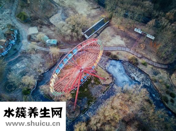 失眠多梦是什么原因