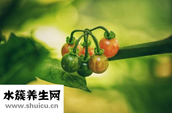 化疗后吃什么恢复快