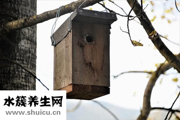 寿司隔夜可以吃吗