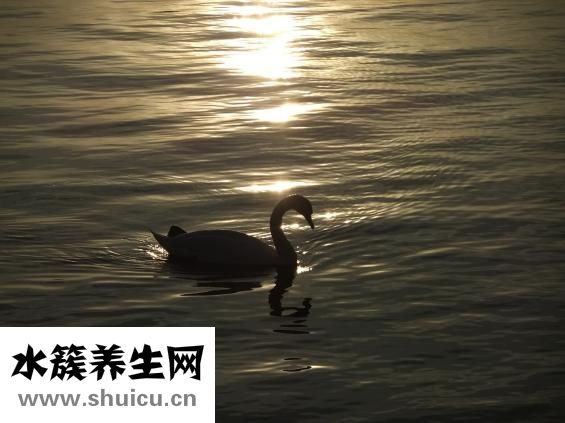 嘴巴张不大