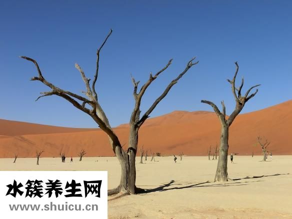 克隆的坏处