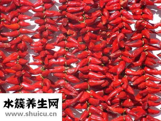怎样在家发豆芽
