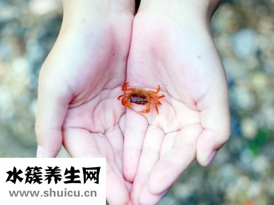 晕车头疼怎么缓解