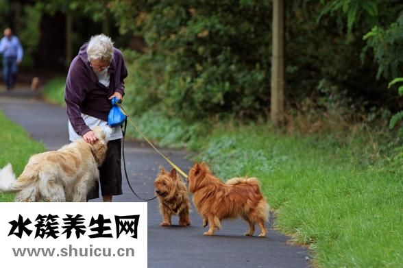 外阴瘙痒怎么治疗