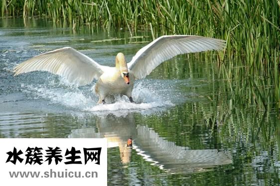怎么看自己的脸型