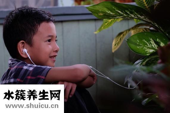 手机对人的危害
