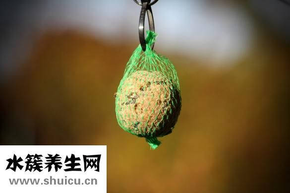 卧蚕是什么