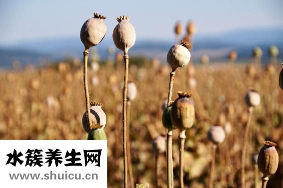 外痔疮的治疗