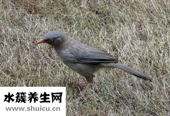 扫一扫脸型配眉形