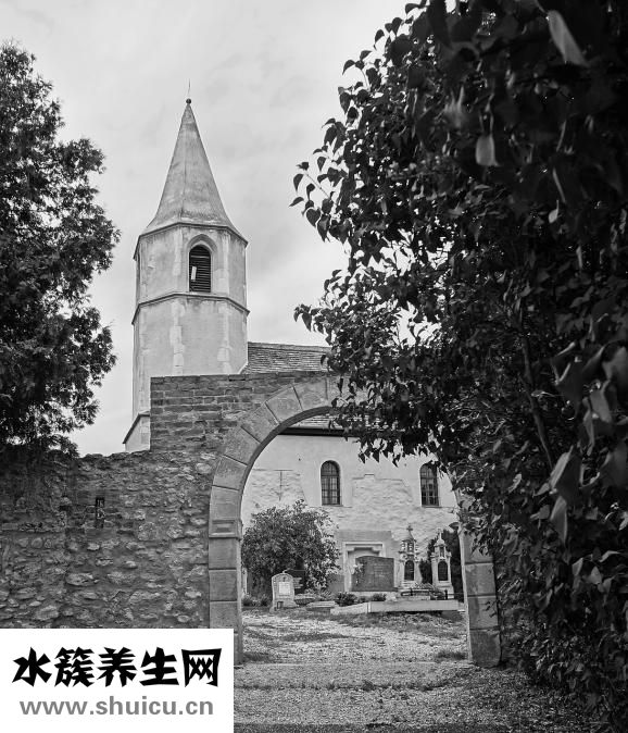 什么地呼吸