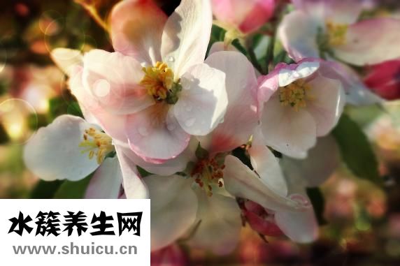 四个月还能堕胎吗