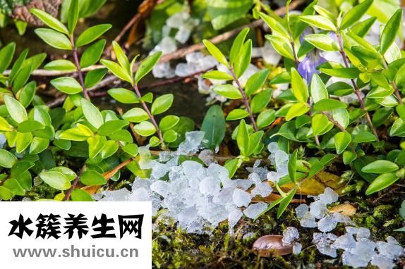 小儿量肛温