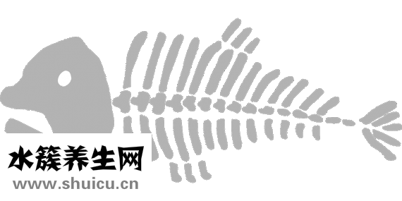 外向孤独症测试