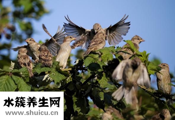 手脚容易出汗