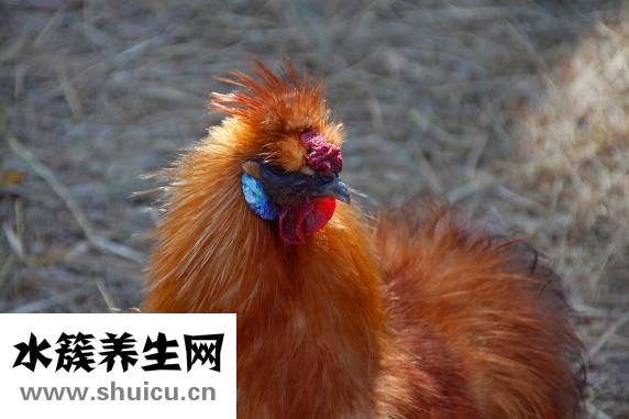 宜州特色小吃