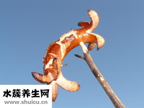 五分钟解决便秘