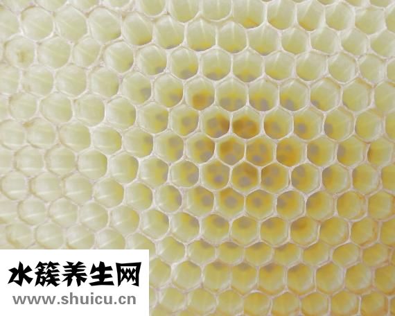 失眠中医治疗