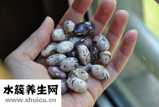 唐氏戒烟汤