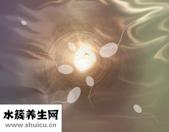 优泌乐赖脯胰岛素