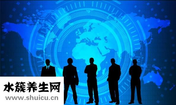 山药粉的功效与作用