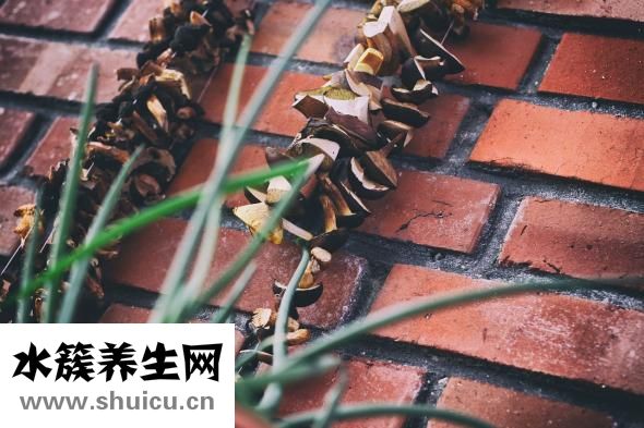 乌发黑发的方法