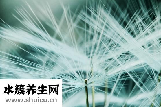 幽门螺旋杆菌试纸
