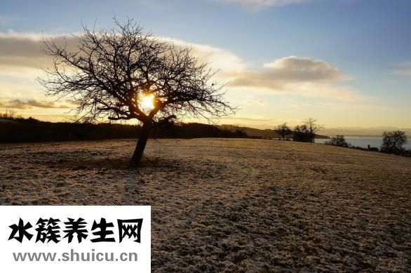 在线测视力