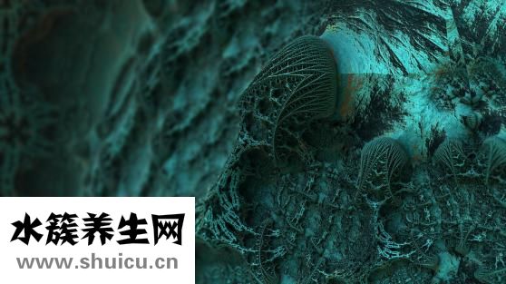山药粉的功效与作用