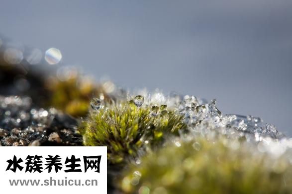 怎么看舌苔