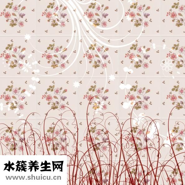 下焦湿热症状
