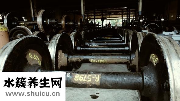 无器械练肱二头肌