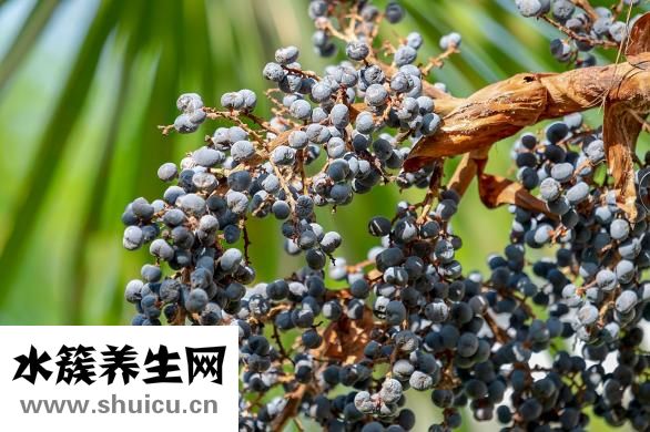 孕妇能吃海螺吗