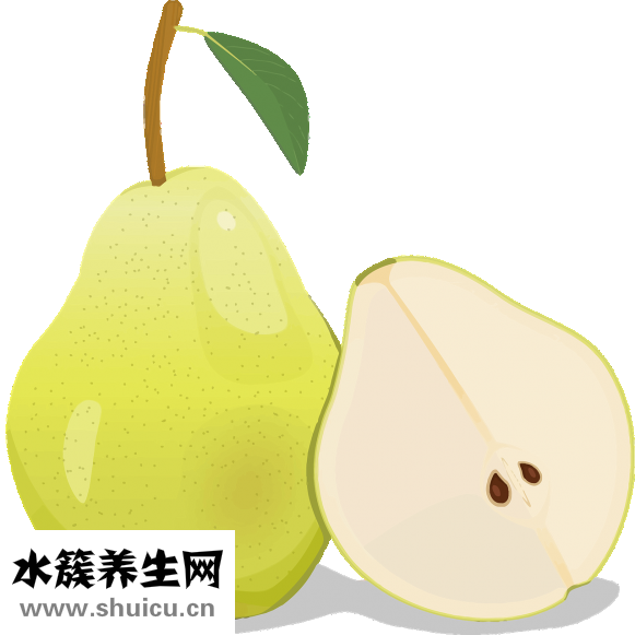 孕妇能吃海螺吗