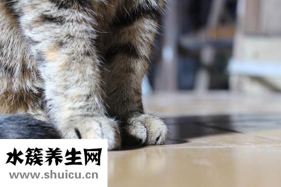 夏天能泡脚吗？泡脚不是简单的事情