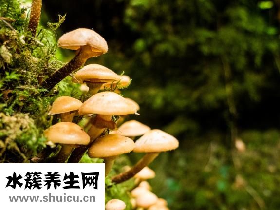 我有一个金娃娃