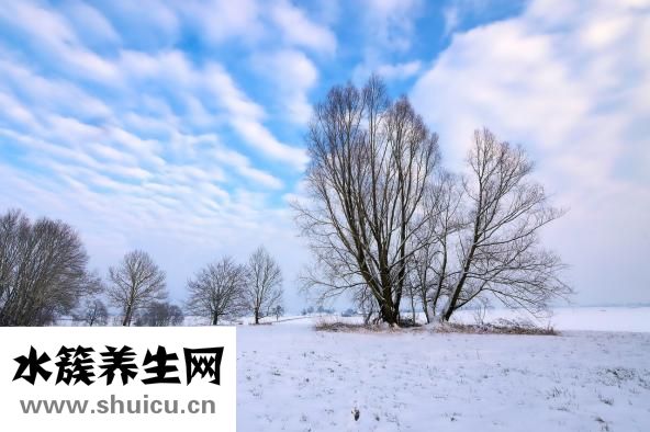 心脏造影不能随便做