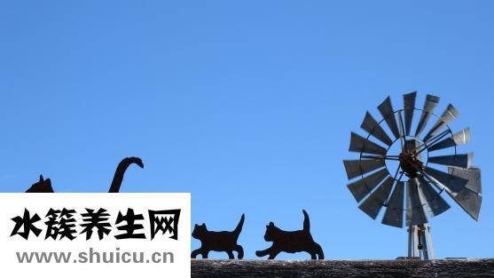 婴幼儿换奶粉