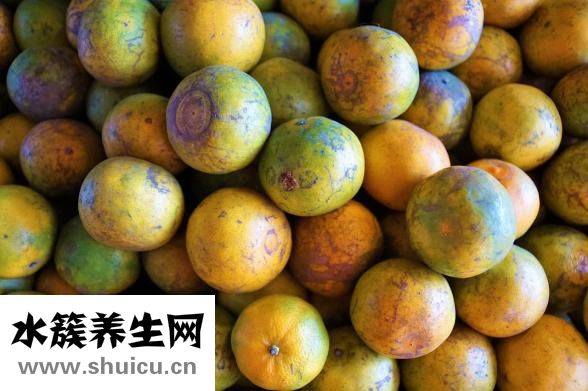 斑鸠是鸽子吗