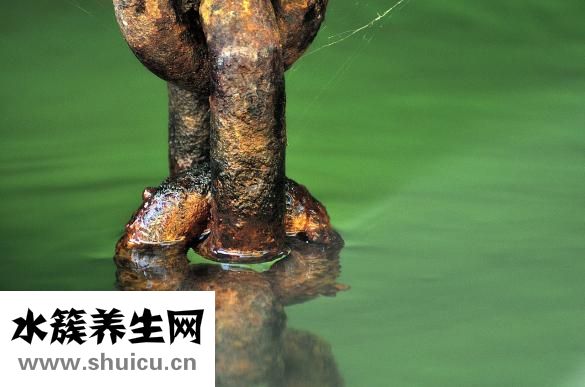 咽炎怎么治